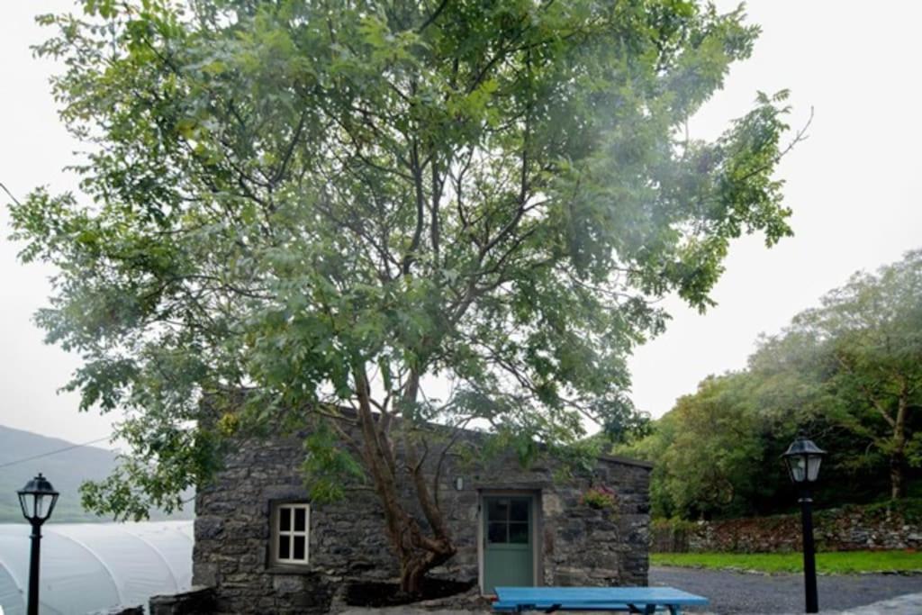 Fermoyle Properties Glynn'S Cottage Fanore Bagian luar foto